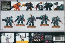 【リーグ・オヴ・ヴォータン】アインヒル・ハースガード EINHYR HEARTHGUARD[69-04][WARHAMMER40,000]ウォーハンマー_画像2