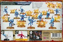 【ディサイプル・オヴ・ティーンチ】 ブルー・ホラー Blue Horrors[97-30][WARHAMMER A.O.S]ウォーハンマー_画像2