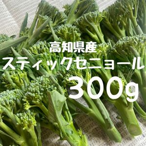 300g スティックセニョール 茎ブロッコリー 野菜 即購入OK sru5