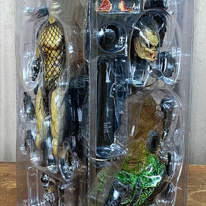 HotToys 1/6 AVP2 プレデター クリーナー キットver. ウルフ・プレデター ホットトイズの画像2