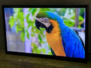 アペックス 液晶テレビ ブラック AP2440BJ [24V型 /ハイビジョン] 美品 1165