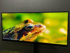 LG PCモニター UltraWide ブラック 34WP550-B [34型 /UltraWide FHD(2560×1080）/ワイド] 2023年製造 超美品 1168