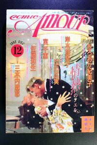 レディースコミックアムール Comic Amour 1992年12月 リアルな愛のコミック専門誌 サン出版 レディコミ