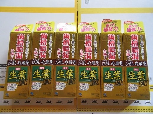 小林製薬の薬用ハミガキ「生葉EX」 100g × 6