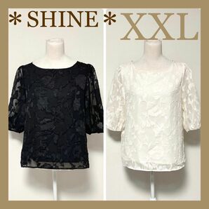 ＊SHINE＊シーイン パフスリーブジャガードトップス 花柄 レース ブラウス カットソー 七分袖