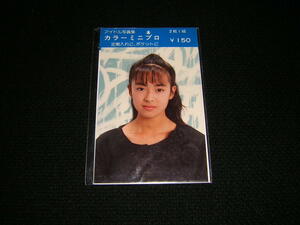  Showa Retro Goto Kumiko idol photoalbum color mi Nipro 2 sheets 1 collection unopened goods ticket holder . pocket . missed search photograph of a star 