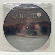 良好!! UKオリジ 12インチ ピクチャーヴァイナル仕様 WOLFMOTHER White Feather ('10 Modular) 2nd.『Cosmic Egg』カット ウルフマザー_画像2