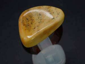 [1323] № 14 Tortoisshell Tortoise Royal Amber Amber Kohaku Amber Ring Accessories Tia
