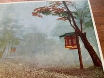 VV-1933 ■送料込■ 栃木県 日光市 華厳滝 エレベーター付近の霧 風景 天気 天候 霧 名所 レトロ 絵葉書 古葉書 写真 古写真/くNAら_画像3