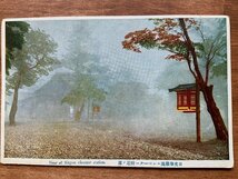 VV-1933 ■送料込■ 栃木県 日光市 華厳滝 エレベーター付近の霧 風景 天気 天候 霧 名所 レトロ 絵葉書 古葉書 写真 古写真/くNAら_画像1