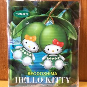 ご当地キティ☆キティ＆ミミィ 小豆島限定オリーブバージョン クリアファイル入りレターセット 2002年の画像1