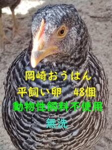 岡崎おうはん　平飼い卵　48個　無洗卵　動物性飼料不使用