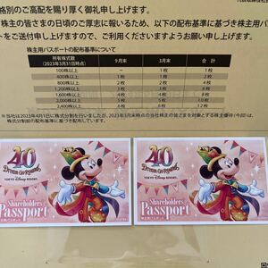 東京ディズニーリゾート 株主優待券　2枚セット 有効期限 2024年6月30日まで