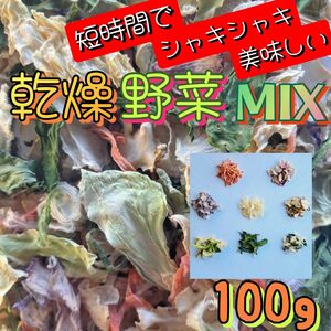 【栃木県産】乾燥野菜MIX　100g　即席メン　キャンプ　味噌汁　非常食