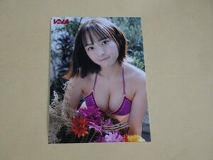 高崎かなみ 紫ビキニ　寄せ乳　見つめる　雑誌BOMB(ボム)付録　応募者全員サービス　生写真　未使用・新品　送料無料