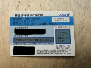 ANA全日空の株主優待券2枚組　有効期限2024/5/31・2024/11/31　2枚セット　送料無料