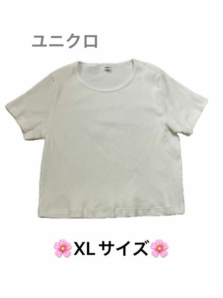 ※ユニクロ　半袖ニットtシャツ※