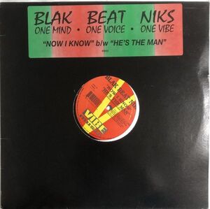 Blak Beat Niks - Now I Know / He's The Man / VIB022 / 1995年 / US / Electronic