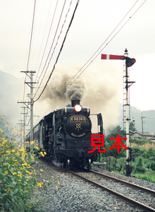 鉄道写真、645ネガデータ、106082100003、C58-363、パレオエクスプレス、秩父鉄道、武州中川駅付近腕木式信号機、1994.09.23（4591×3362）