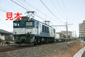 鉄道写真データ（JPEG）、00441402、EF64-1013＋空コキ、JR東北本線、蓮田〜東大宮、2015.03.10、（7360×4912）