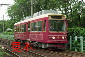 鉄道写真データ（JPEG）、00844691、7700形（7707）（雨天）、都電荒川線、荒川七丁目〜荒川二丁目間、2017.05.25、（6309×4211）