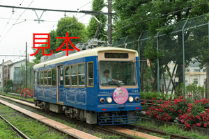 鉄道写真データ（JPEG）、00854852、7700形（7705）東京さくらトラム愛称決定ヘッドマーク（雨天）、都電荒川線、三ノ輪橋〜荒川一中前間