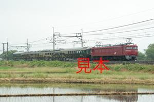 鉄道写真データ（JPEG）、00875063、EF81-136＋ジパング（485系）（雨天）、JR東北本線、東大宮〜蓮田、2017.06.13、（7360×4912）