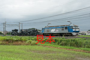 鉄道写真データ（JPEG）、00906943、EF210-135＋シキ801B1＋ヨ8629、JR東北本線、蓮田〜東大宮、2017.09.02、（7360×4912）