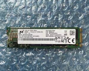 Micron 256GB SATA SSD M.2 中古動作品 正常【M-513】 