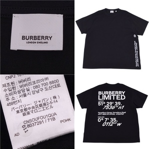 美品 バーバリー BURBERRY Tシャツ カットソー 半袖 ショートスリーブ ロゴプリント トップス メンズ XL ブラック cf04ml-rm11f09545の画像5