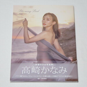 ●初版本♪●帯付き●高崎かなみ 写真集 Blooming Bud (TWJ BOOKS) 