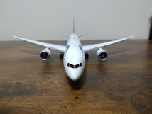 InFlight 1/200 B787-9 エジプトエア_画像7