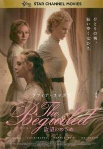 The Beguiled ビガイルド 欲望のめざめ レンタル落ち 中古 DVD ホラー