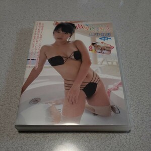 山中知恵　南国パラダイス後編　DVD　中古品