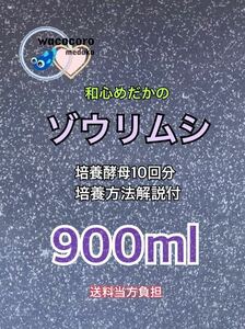 ★培養酵母10回分付き★和心めだか★こだわりのゾウリムシ900ml★めだかの針子・幼魚・ミジンコなどに最適