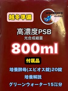 高濃度PSB光合成細菌800ml＋エビオス錠20錠＋グリーンウォーター15リットル分付き！！☆培養可能種☆