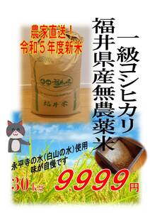 【令和5年度新米】無農薬福井県産１級コシヒカリ★約30kg玄米★ エコファーマー認定