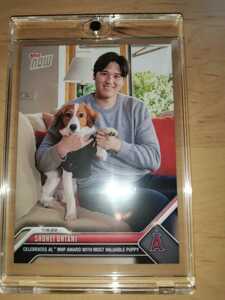 スタンド付き☆　スリーブ＆マグネットケース封入品　大谷翔平　Topps now 2023 MVP　カード　デコピン　犬