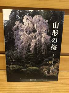 ※送料込※「山形の桜　小林隆　歴史春秋社」古本