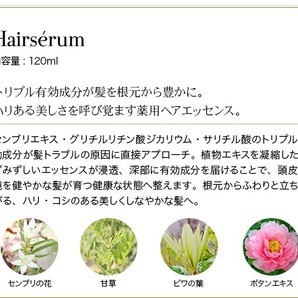 【詰替・定価8980円×5袋セット】ポラリス製薬 ヘアセラム [女性用育毛剤] 120ml 医薬部外品 新品の画像2