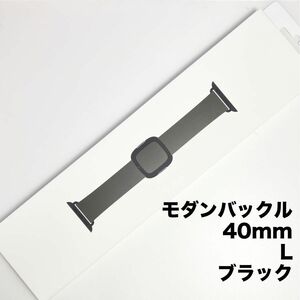 アップル純正 アップルウォッチバンド モダンバックル スペースブラックステンレススチールバックル 40mm L ブラック