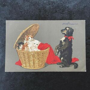 ドイツ アンティーク ポストカード ★ 1917年 犬 イヌ ネコ 猫 子猫 バスケット 可愛い アーティスト作 絵葉書