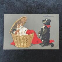 ドイツ アンティーク ポストカード ★ 1917年 犬 イヌ ネコ 猫 子猫 バスケット 可愛い アーティスト作 絵葉書_画像1
