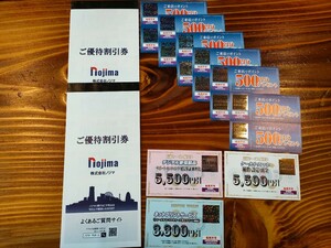 ノジマ　 株主優待　10%割引券　25枚綴り2冊　＋来店ポイント券6000円分　送料込　入金確認後24時間以内発送