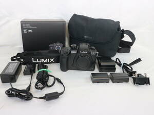 Panasonic/パナソニック ミラーレス一眼カメラ LUMIX DC-GH5 ボディ/マイクロフォーサーズ/2033万画素/付属品有 100サイズ