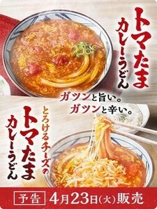  丸亀製麺 トマたまカレーうどん、チーズトマたまカレーうどん、俺たちの豚汁うどんのみ利用可能 500 円引きクーポン アプリ限