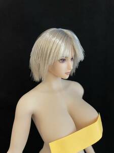 1/6サイズ　フィギュア美少女　ポールダンサー　完成品　ボディ(無料) 使用済