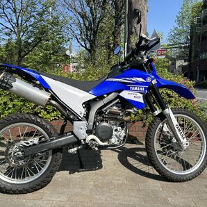 WR250X WR250R仕様 自賠責ありの画像1