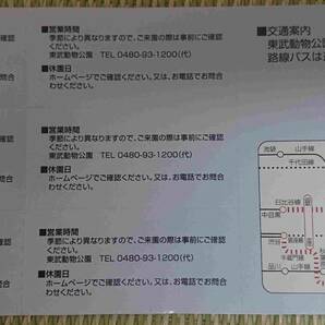 ①3枚 東武動物公園 東武鉄道 未使用 株主ご優待券 6/30 TOBU 送料0 観光 レジャー アトラクション 割引 クーポン 埼玉 宮代 入園券の画像2