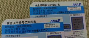 ⑤2枚 2024/5/31 ANA 全日空 株主優待番号ご案内書 割引 クーポン アナ 国内線 空港 旅行 出張 観光 宿泊 飛行機 ビジネス 搭乗 青 航空券